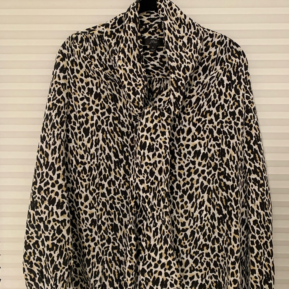 JCrew silk long sleeve blouse.